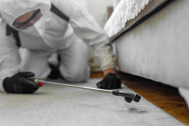 Professional Wasp Control technician working in Santo Domingo Pueblo, NM