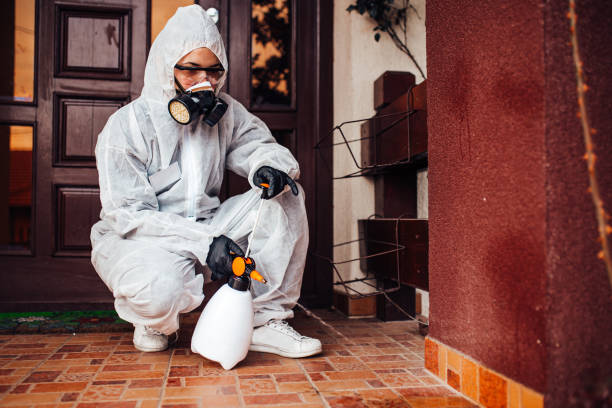 Reliable Emergency Pest Control contractor in Santo Domingo Pueblo, NM by Nex Pest Control