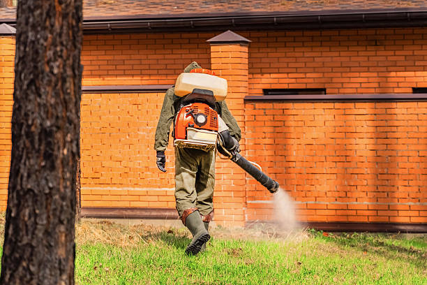 Trusted Termite Control service in Santo Domingo Pueblo, NM - Nex Pest Control